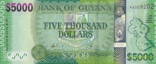 Gujana 5000 dolarów Rzeka 2013 P-40