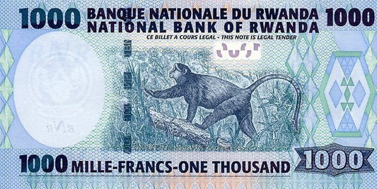 Rwanda 1000 franków Małpka 2004 P-31